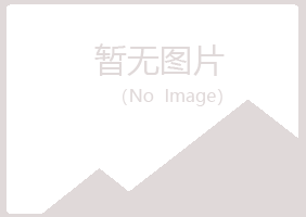 江源县女孩会计有限公司